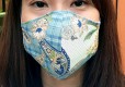 Mund- und Nasenmasken 