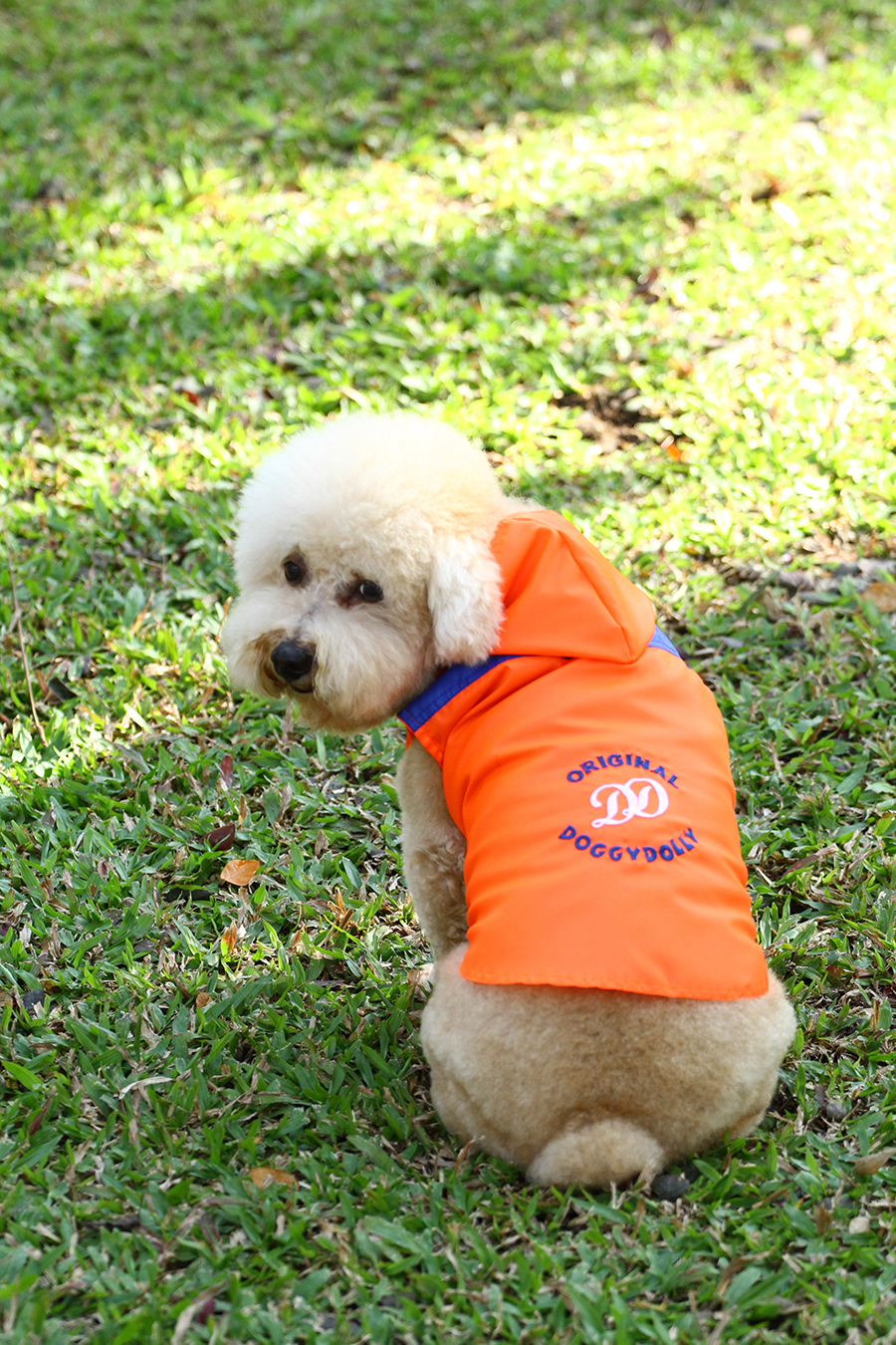 DoggyDolly DR046 Regenjacke für Hunde orangeblau MDR046M