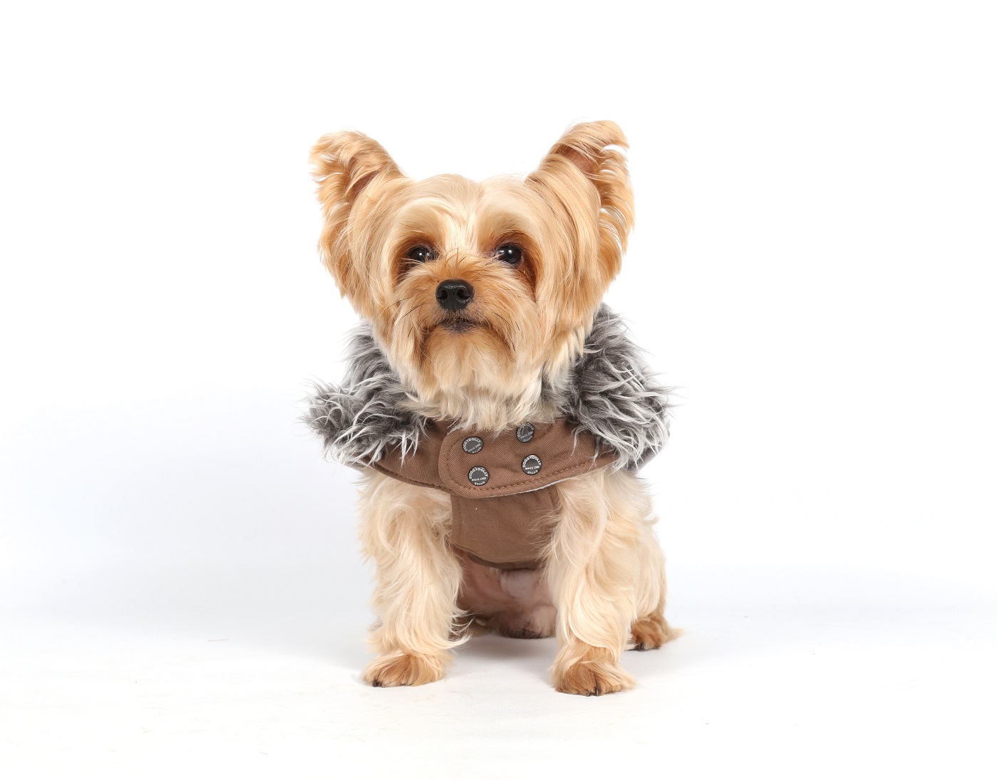 DoggyDolly W207 Wintermantel für Hunde beige MW207M