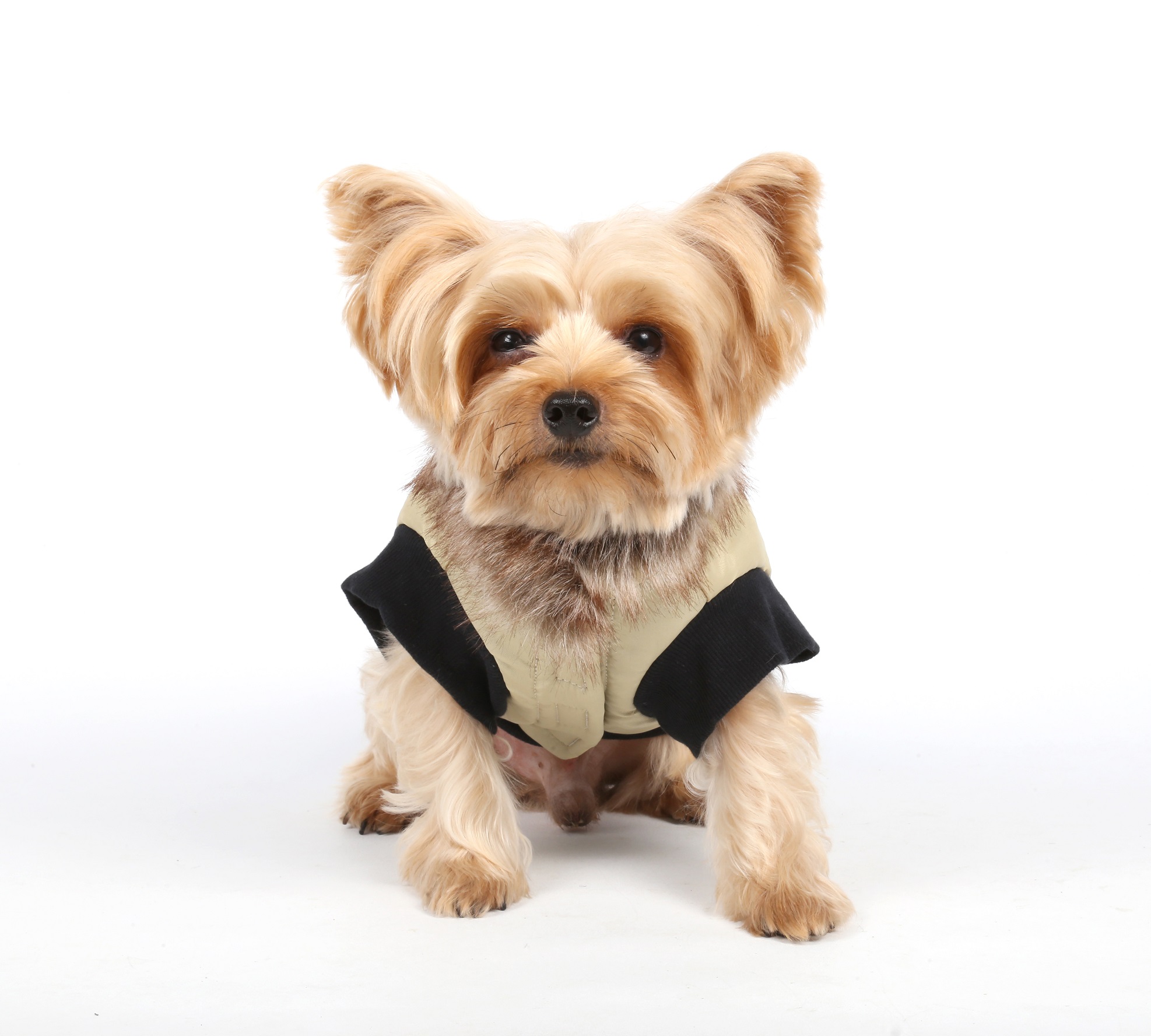 DoggyDolly W028 Winterjacke für Hunde beige LW028L