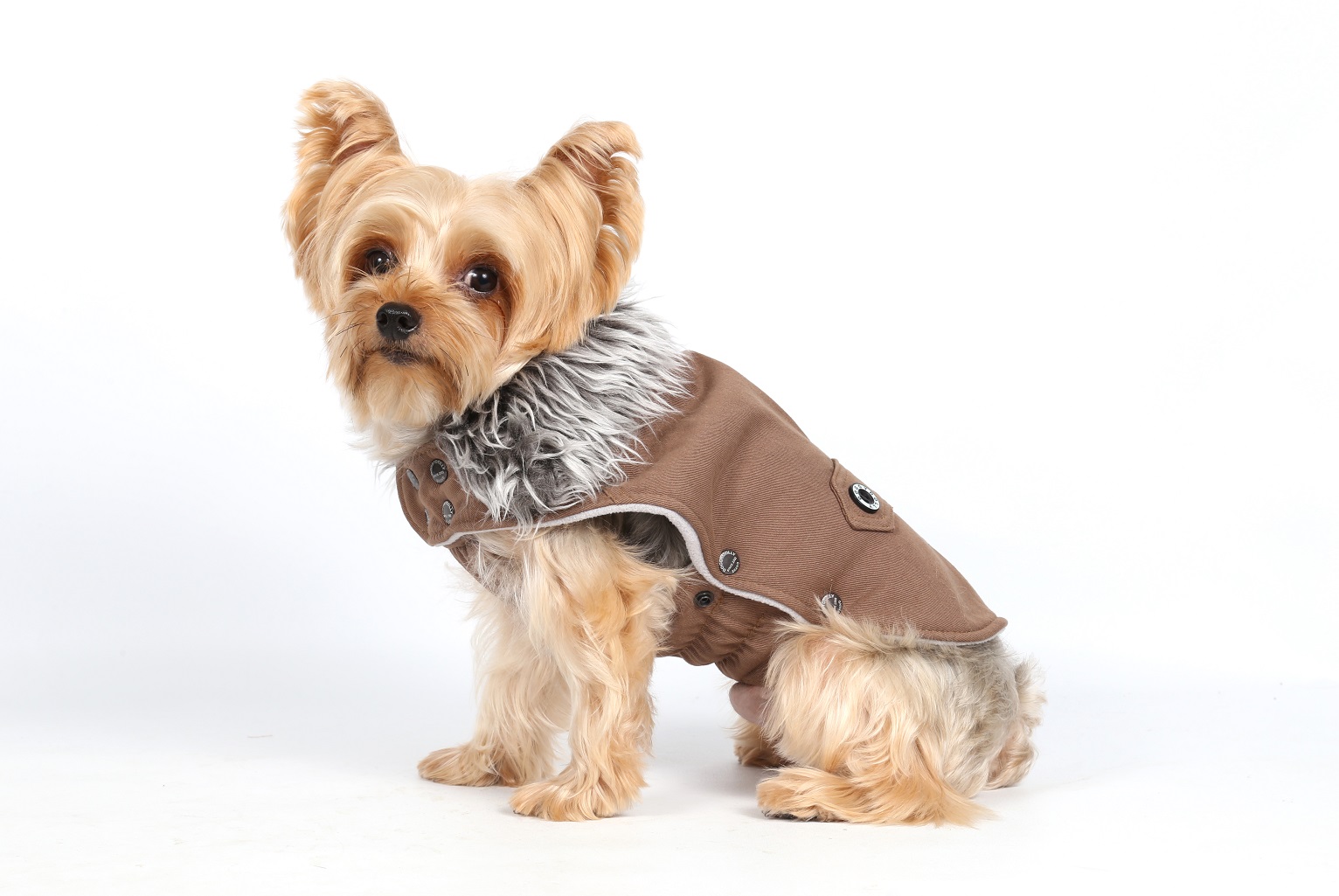 DoggyDolly W207 Wintermantel für Hunde beige MW207M