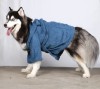 DoggyDolly BIG DOG BD050 Bademantel für große Hunde blau - XL