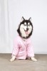 DoggyDolly BIG DOG BD051 Bademantel für große Hunde rosa