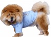 DoggyDolly BIGDOG BD133 Polo Hundeshirt für große Hunde hellblau - M