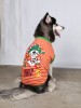 DoggyDolly BIG DOG BD398 T-Shirt für große Hunde orange gestreift - XL