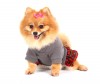 DoggyDolly C086 Fleecekleid für Hunde grau - XS