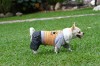 DoggyDolly C129 Hundekombi Jeans & T-Shirt orange gestreift - L