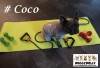 DoggyDolly MOPS&CO FP-DRF027 Jogginganzug für Hunde VIP grau