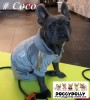 DoggyDolly MOPS&CO FP-DRF027 Jogginganzug für Hunde VIP grau
