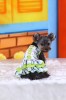 DoggyDolly D296 Hundekleid grün kariert - XS