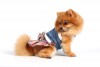 DoggyDolly DCL048 Softgeschirr für Hunde Jeans - XS