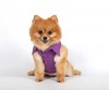 DoggyDolly DCL050 Softgeschirr für Hunde - Glitzershirt lila - S