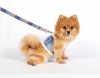 DoggyDolly DCL112 Softgeschirr für Hunde blau kariert - XL