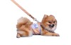 DoggyDolly DCL122 Softgeschirr für Hunde orange