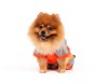 DoggyDolly DR041 Regenanzug für Hunde orange-silber - XXL