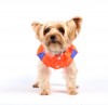 DoggyDolly DR046 Regenjacke für Hunde orange-blau - S