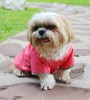 DoggyDolly DR063 Regenmantel für Hunde pink - XXL