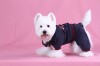 DoggyDolly DRF029 Jogginganzug für Hunde blau - XXL