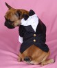 DoggyDolly DST001 Smoking für Hunde schwarz