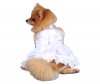 DoggyDolly DST003 Brautkleid für Hunde weiß