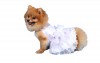 DoggyDolly DST003 Brautkleid für Hunde weiß