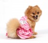 DoggyDolly DT025 Hundekleid TOPMODEL rosa - XXS