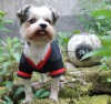 DoggyDolly WM2015B Hundetrikot Frauenfußball schwarz - S