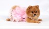 DoggyDolly F031 Brautjungfernkleid für Hunde rosa