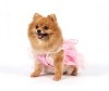 DoggyDolly F031 Brautjungfernkleid für Hunde rosa
