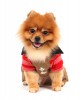 DoggyDolly LH002 Lederhose für Hunde braun