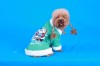 DoggyDolly ST005 Weihnachtspullover für Hunde grün