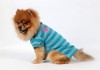 DoggyDolly T175 Hundeshirt Polo türkis-blau - XL