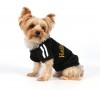 DoggyDolly T231 Kapuzen Pullover für Hunde HELLO WINTER schwarz - XL