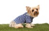 DoggyDolly T295 Polo Hundeshirt gestreift blau - XXL