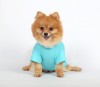 DoggyDolly T471 Hundeshirt "Happy Birthday" blau