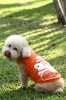 DoggyDolly T483 Hundeshirt Tiger orange - XL