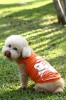 DoggyDolly T483 Hundeshirt Tiger orange - XL