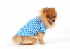 DoggyDolly T499 Polo Hundeshirt French Bulldog gestreift - M