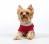 DoggyDolly T505 Polo Hundeshirt rot - S