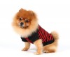 DoggyDolly T518 Hundeshirt rot-schwarz - S