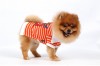 DoggyDolly T540 Hundeshirt Polo orange-weiß - XXL