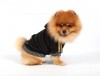 DoggyDolly W040 Nickipullover für Hunde ROYAL DIVAS schwarz - L