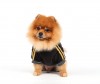 DoggyDolly W040 Nickipullover für Hunde ROYAL DIVAS schwarz - L