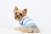 DoggyDolly W050 Strickpullover für Hunde blau-weiß -XS- Brust 31-33 cm Rücken 18-20 cm