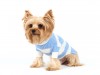 DoggyDolly W050 Strickpullover für Hunde blau-weiß -XS- Brust 31-33 cm Rücken 18-20 cm