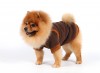 DoggyDolly W057 Fleecejacke für Hunde braun -XXS- Brust 26-28 cm Rücken 13-15 cm