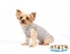 SPECIAL - SET - Herbst Regen Set blau - Hunde Regenjacke DR053 + Hundepullover W073