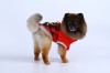 DoggyDolly W074 Hundepullover Tiger rot - M