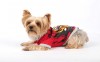 DoggyDolly W074 Hundepullover Tiger rot - M