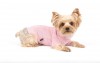 DoggyDolly W098 Strickpullover für Hunde rosa -XXL- Brust 56-58 cm Rücken 36-38 cm